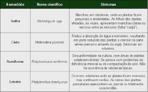 uma tabela informativa e técnica, projetada para auxiliar na identificação de diferentes tipos de nematoides c