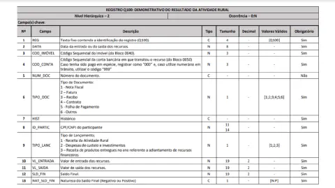 uma tabela detalhada que descreve a estrutura do 'Registro Q100: Demonstrativo do Resultado da Atividade Rural