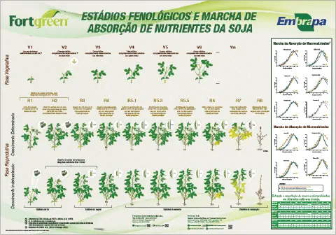 infográfico técnico e detalhado sobre os estádios fenológicos e a marcha de absorção de nutrientes da cultura d
