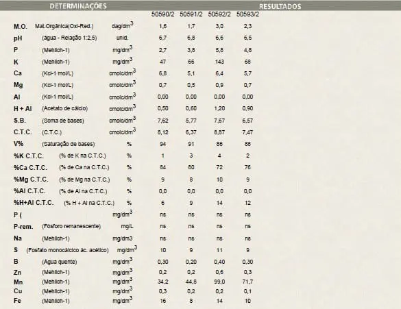 laudo técnico de uma análise química de solo, apresentado em formato de tabela. A tabela é dividida em duas