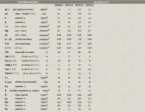 laudo técnico de uma análise química de solo, apresentado em formato de tabela. A tabela é dividida em duas