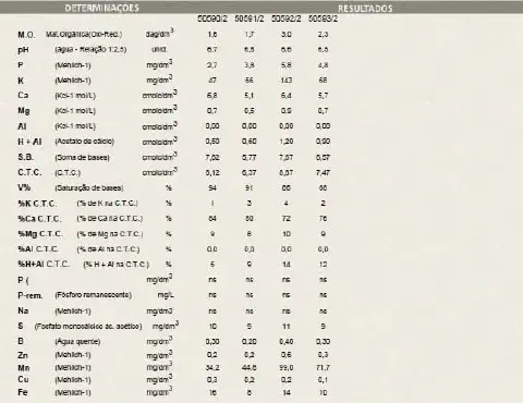 laudo técnico de uma análise química de solo, apresentado em formato de tabela. A tabela é dividida em duas