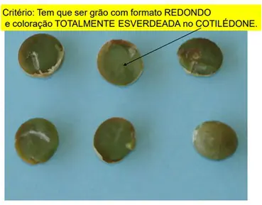 seis cotilédones de soja, de cor verde intensa, dispostos sobre uma superfície azul clara. No topo, uma caixa