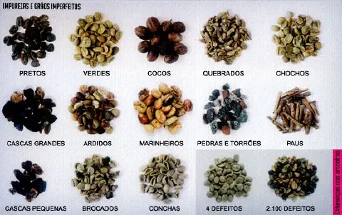 uma tabela de classificação visual para impurezas e grãos imperfeitos de café. Organizada em uma grade, ela ap