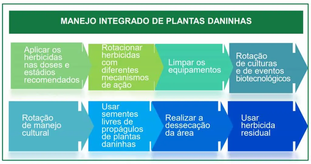 infográfico educacional que detalha as práticas do Manejo Integrado de Plantas Daninhas (MIPD). Estruturado em