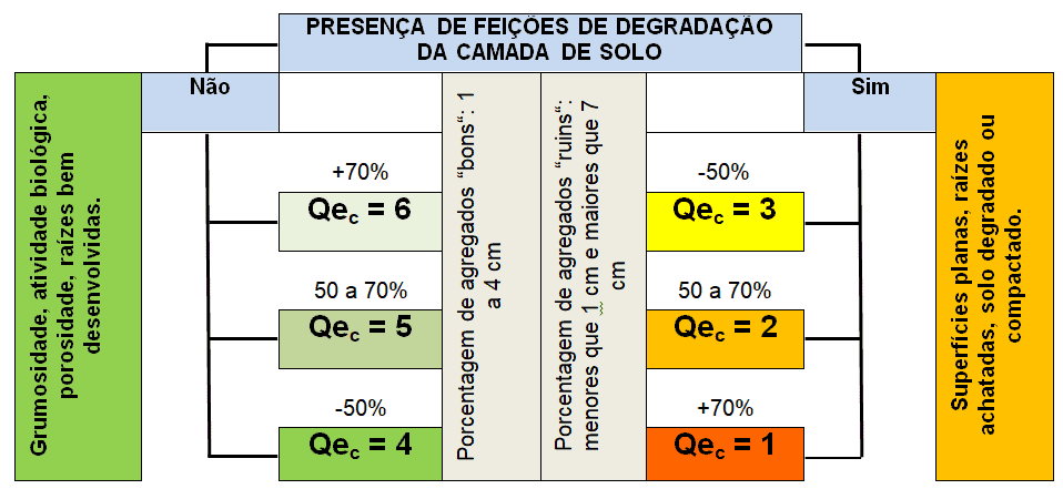 fluxograma técnico para a avaliação da qualidade estrutural do solo, intitulado ‘Presença de Feições de