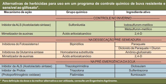 tabela técnica detalhada que serve como um guia para o controle químico da planta daninha buva, aborda