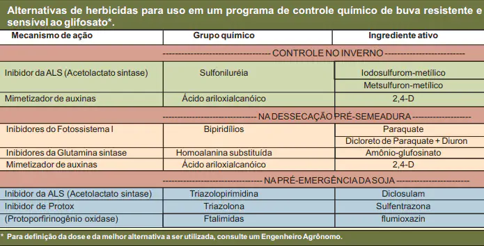 tabela técnica detalhada que serve como um guia para o controle químico da planta daninha buva, aborda