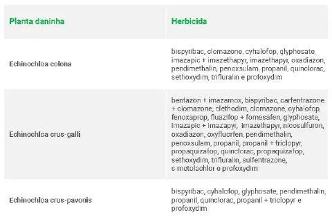 uma tabela informativa com um design limpo e profissional, dividida em duas colunas: 'Planta daninha' e 'Herbi
