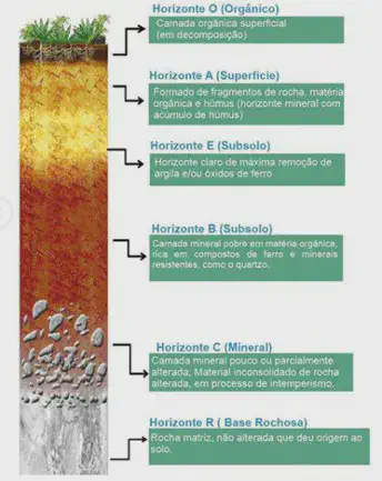 Este infográfico educacional detalha o perfil do solo, ilustrando suas diferentes camadas horizontais, conhecidas como horizo