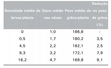 uma tabela de dados que correlaciona a infestação de larvas em uma cultura com os danos causados e a consequen