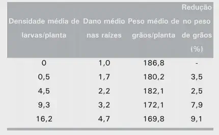 Impacto da Densidade de Larvas na Perda de Grãos uma tabela de dados que correlaciona a infestação de larvas em uma cultura com os danos causados e a consequen