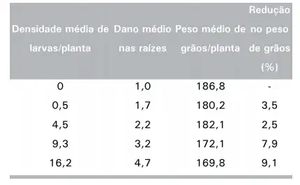 uma tabela de dados que correlaciona a infestação de larvas em uma cultura com os danos causados e a consequen