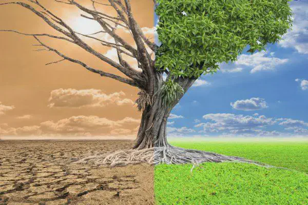 Impacto da Seca e Sustentabilidade na Agricultura poderosa metáfora visual, dividida ao meio, que contrasta dois cenários ambientais opostos. Do lado es