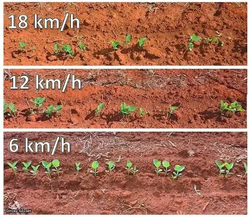 composição de três painéis que comparam o resultado do plantio de uma cultura em diferentes velocidades.