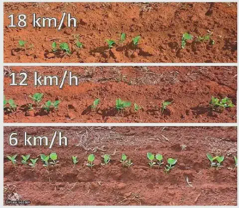 composição de três painéis que comparam o resultado do plantio de uma cultura em diferentes velocidades.