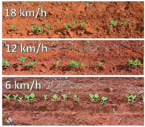 composição de três painéis que comparam o resultado do plantio de uma cultura em diferentes velocidades.