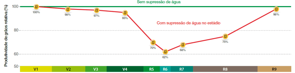 Este infográfico técnico exibe um gráfico de linha que compara a produtividade relativa de grãos (%) em diferentes estádios f