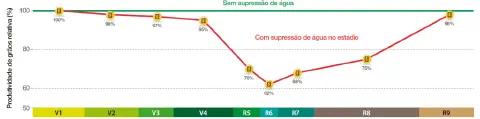 Este infográfico técnico exibe um gráfico de linha que compara a produtividade relativa de grãos (%) em diferentes estádios f