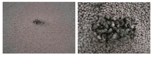 composição de duas fotos que ilustram o problema de impurezas em grãos colhidos, provavelmente soja. A foto da