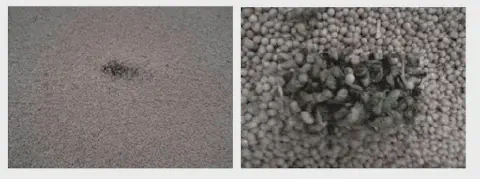 composição de duas fotos que ilustram o problema de impurezas em grãos colhidos, provavelmente soja. A foto da