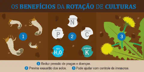 Este infográfico ilustra de forma clara e didática os três principais benefícios da rotação de culturas para a agricultura. A