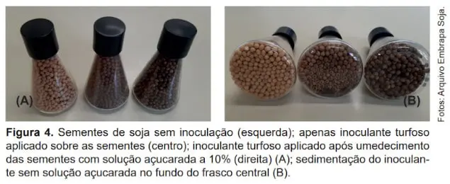 A imagem, proveniente do arquivo da Embrapa Soja, é uma composição de duas fotografias (A e B) que demonstram um experimento