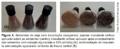 A imagem, proveniente do arquivo da Embrapa Soja, é uma composição de duas fotografias (A e B) que demonstram um experimento