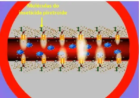 ilustração científica que demonstra o mecanismo de ação de um inseticida do grupo dos piretroides a nível mole