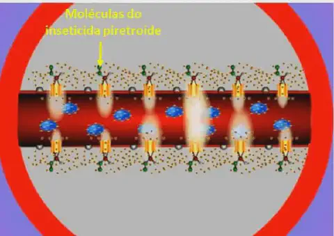 ilustração científica que demonstra o mecanismo de ação de um inseticida do grupo dos piretroides a nível mole