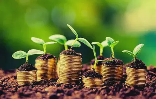 Investimento Agrícola: Como Aumentar a Lucratividade uma representação metafórica da relação entre agricultura e finanças. Em primeiro plano, sobre um solo fértil