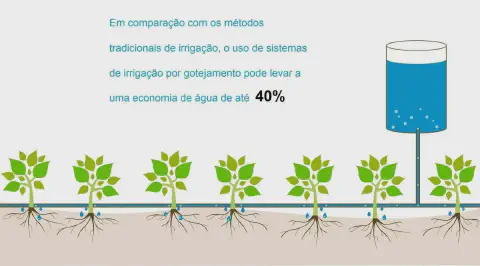 ilustração didática que demonstra o funcionamento e a principal vantagem do sistema de irrigação por gotejamen