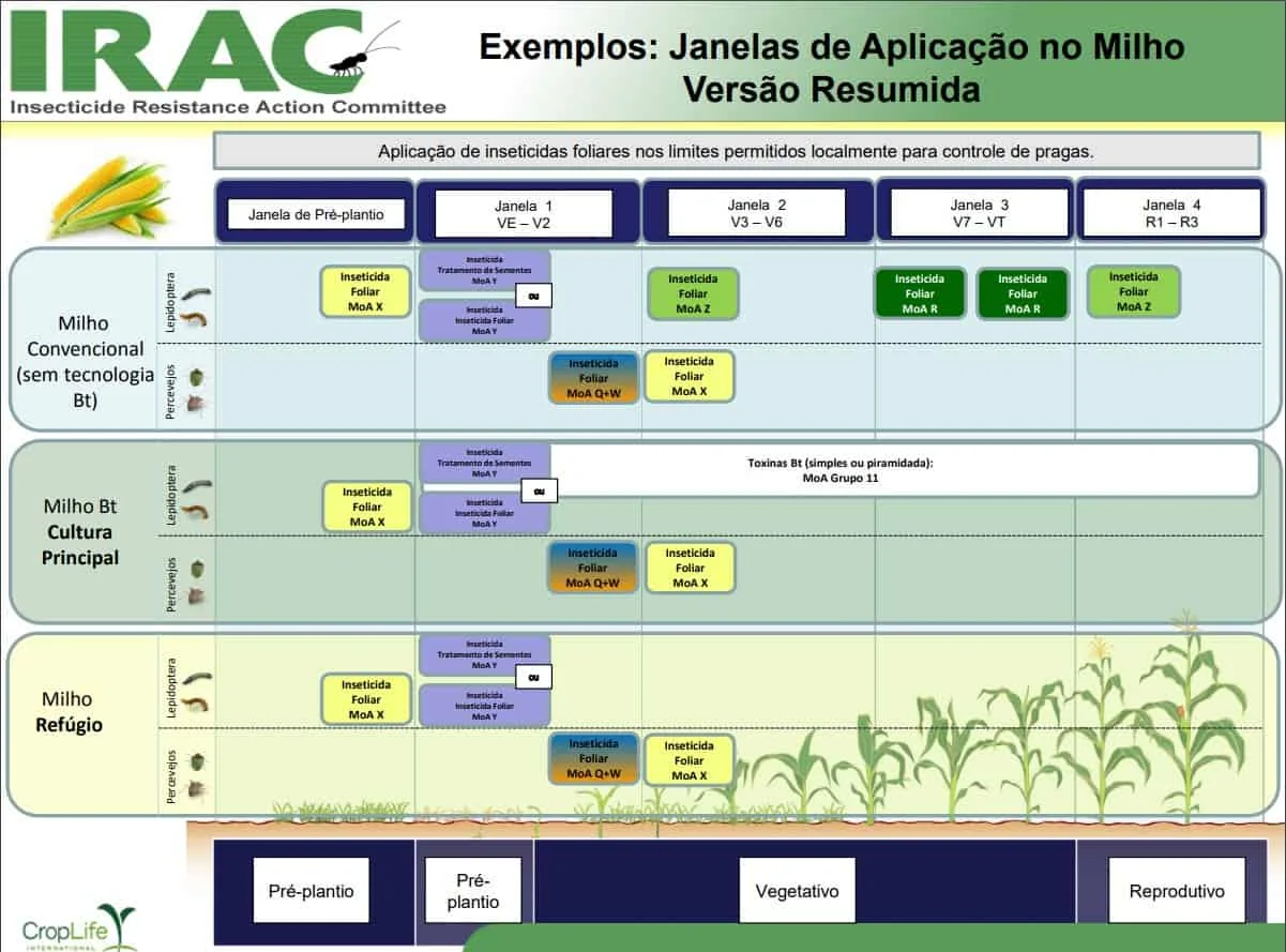 infográfico técnico, em versão resumida, criado pelo IRAC (Insecticide Resistance Action Committee) que ilustra