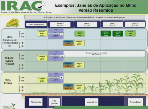 infográfico técnico, em versão resumida, criado pelo IRAC (Insecticide Resistance Action Committee) que ilustra