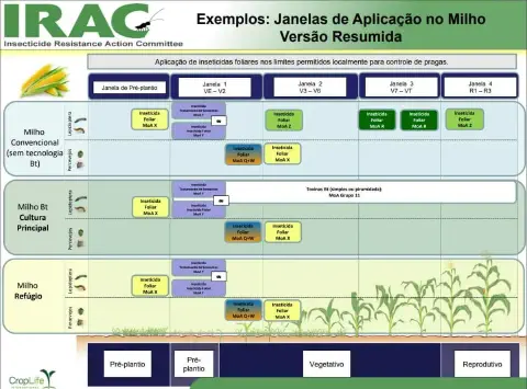infográfico técnico, em versão resumida, criado pelo IRAC (Insecticide Resistance Action Committee) que ilustra