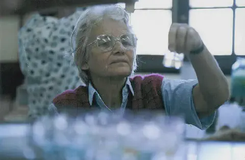 a renomada engenheira agrônoma Johanna Döbereiner em seu ambiente de trabalho, um laboratório. Com cabelos b