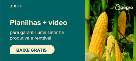 variedades de milho mais produtivas