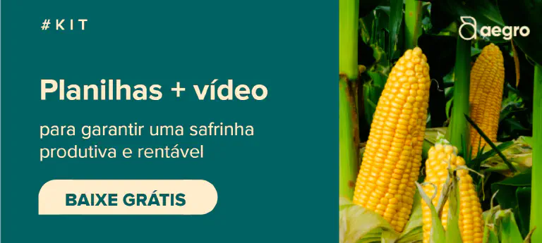 variedades de milho mais produtivas