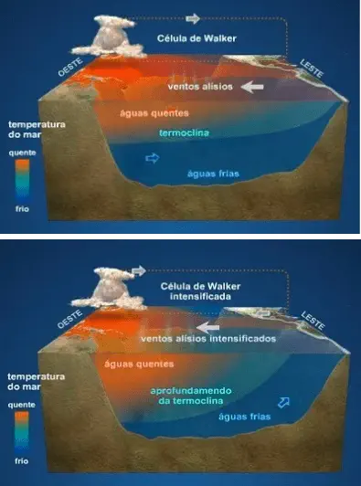 infográfico científico que ilustra e compara as condições oceânicas e atmosféricas em duas situações distintas,