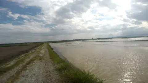 paisagem agrícola ampla, destacando uma lavoura preparada para o cultivo de arroz através do sistema de
