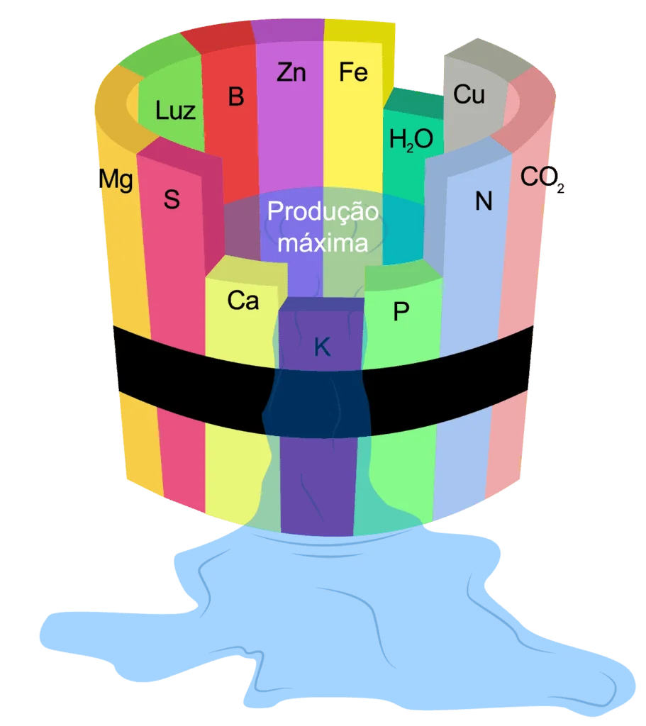 representação gráfica da Lei do Mínimo de Liebig, também conhecida como o ‘barril de Liebig’. Ela ilustra um b