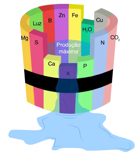representação gráfica da Lei do Mínimo de Liebig, também conhecida como o 'barril de Liebig'. Ela ilustra um b