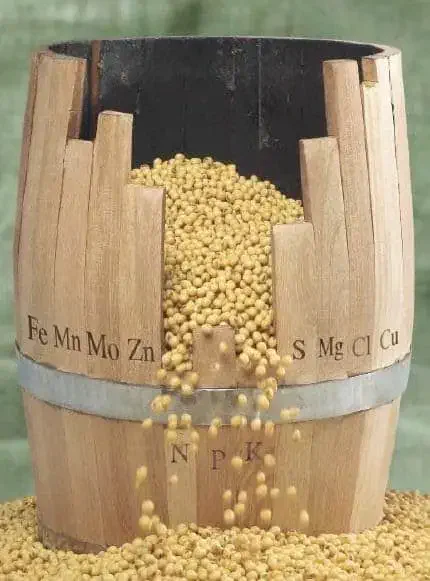 uma representação visual da 'Lei do Mínimo', também conhecida como 'Barril de Liebig'. Vemos um barril de made