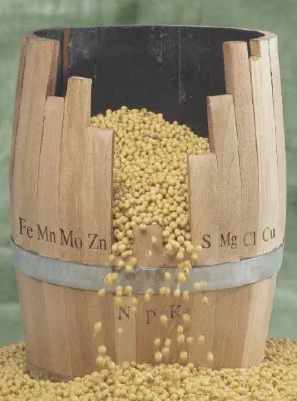 uma representação visual da 'Lei do Mínimo', também conhecida como 'Barril de Liebig'. Vemos um barril de made