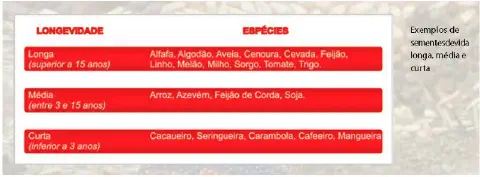 infográfico em formato de tabela que classifica a longevidade de sementes de diferentes espécies agríco