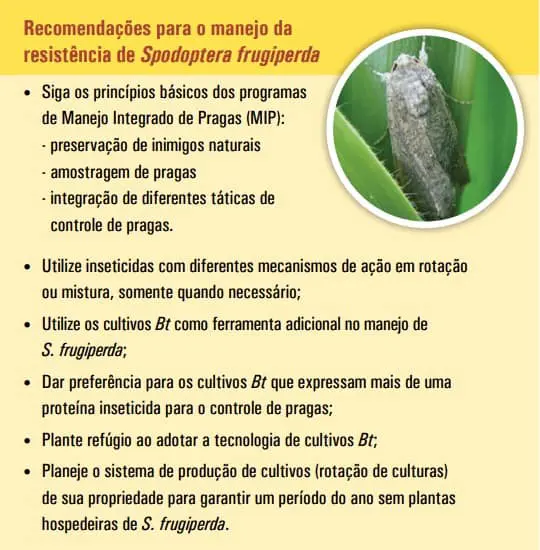 infográfico educativo que apresenta uma lista de ‘Recomendações para o manejo da resistência de Spodoptera frug