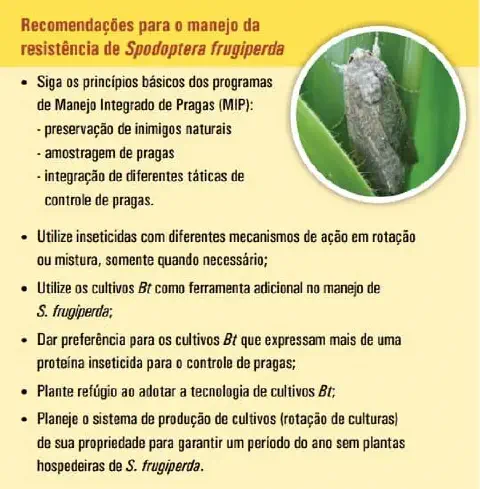 infográfico educativo que apresenta uma lista de 'Recomendações para o manejo da resistência de Spodoptera frug