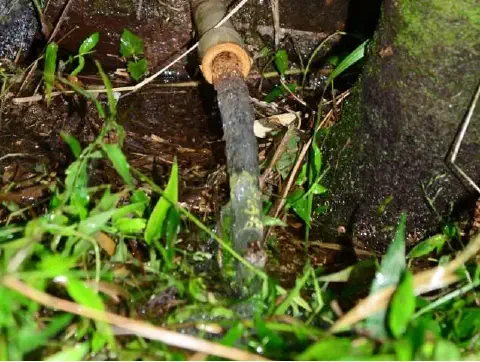 close-up de um fluxo de água saindo de um cano rústico, possivelmente de bambu ou outro material natural,