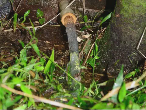 close-up de um fluxo de água saindo de um cano rústico, possivelmente de bambu ou outro material natural,