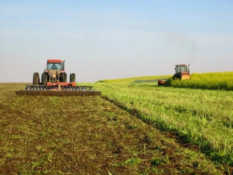 Manejo de Cultura de Cobertura com Rolo-Faca no Campo uma operação agrícola em um campo aberto sob um céu limpo. Em primeiro plano, um trator vermelho de grande por